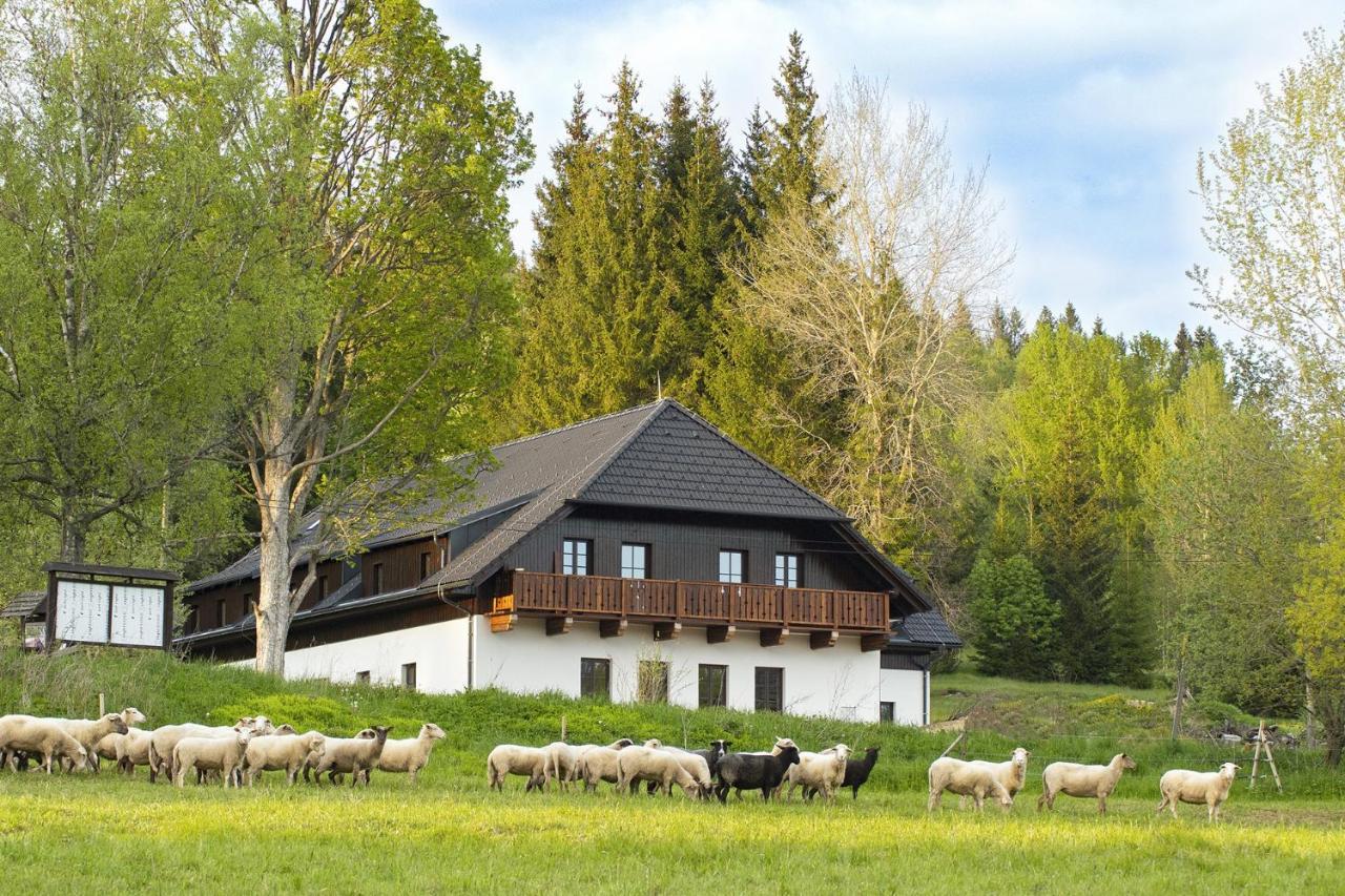 Dvůr Lískový vrch Hotel Strazny Exterior foto