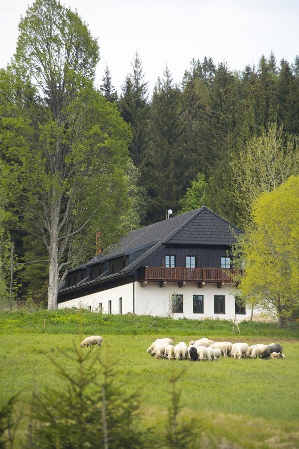 Dvůr Lískový vrch Hotel Strazny Exterior foto